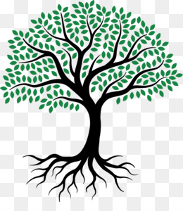 شجرة الحياة تحميل مجاني الرسم جذر شجرة رسم شجرة الحياة صورة بابوا نيو غينيا