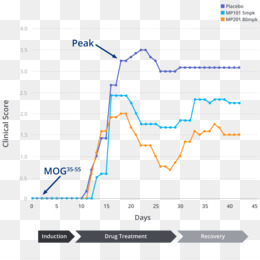 Standards For Quantitative Metalloproteomic Analysis Using Size Exclusion Icp Ms Protocol Translated To Arabic